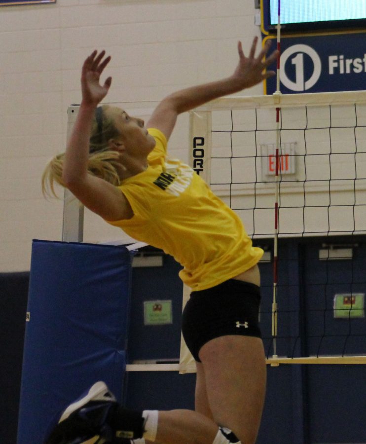alli-skala-volleyball-color-cropped