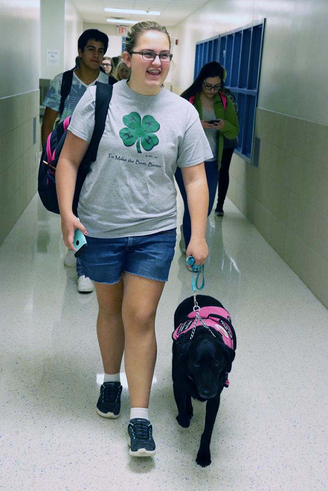 Service dog Shadow walks with freshman Kaitlyn Connelly ready to alert her about her blood sugar levels. “I’m starting to get more comfortable with the school. That has really what made me nervous, because I didn’t know how people were going to react and I didn’t want to be swarmed in the hallway.” 