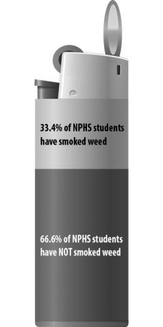 How marijuana affects NPHS