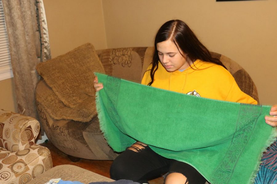 Sophomore Hillary Menghini does laundry at home. Chores are just a small part of this teens busy day.