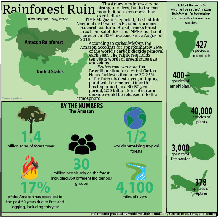 Rainforest Ruin
